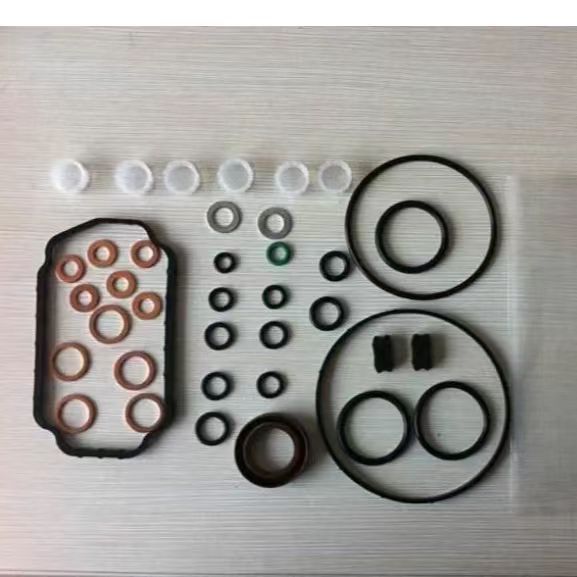 Fuel Pump Repair Kits 2447010011